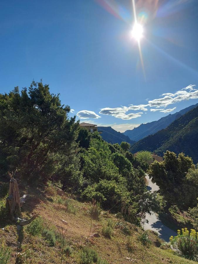 Résidence E CIME Asco Exterior foto