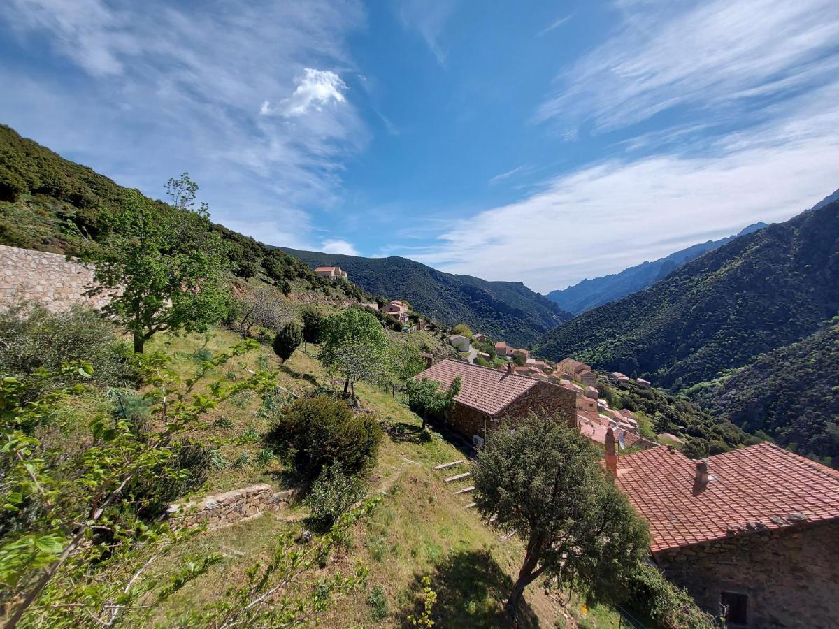 Résidence E CIME Asco Exterior foto